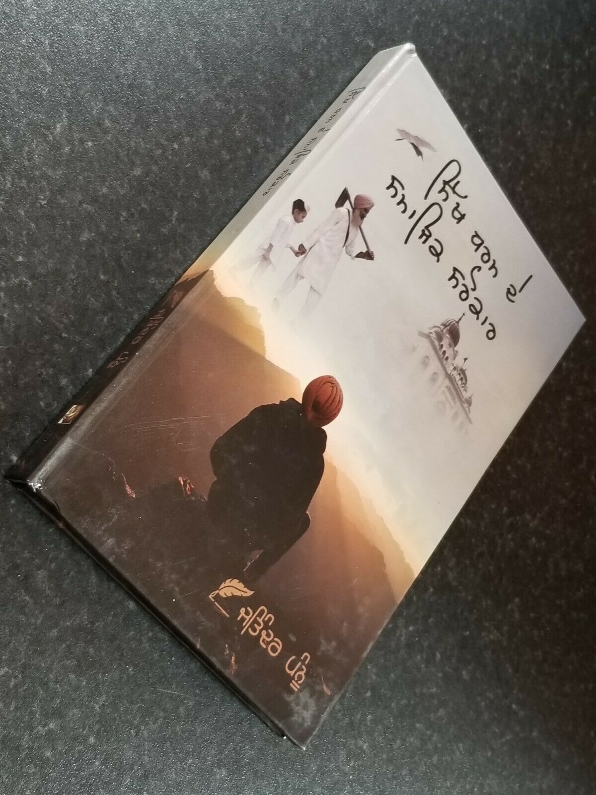 Sikh Dharam De Samajik Sarokar by Jatinder Pannu Punjabi Reading Book B70 Panjab