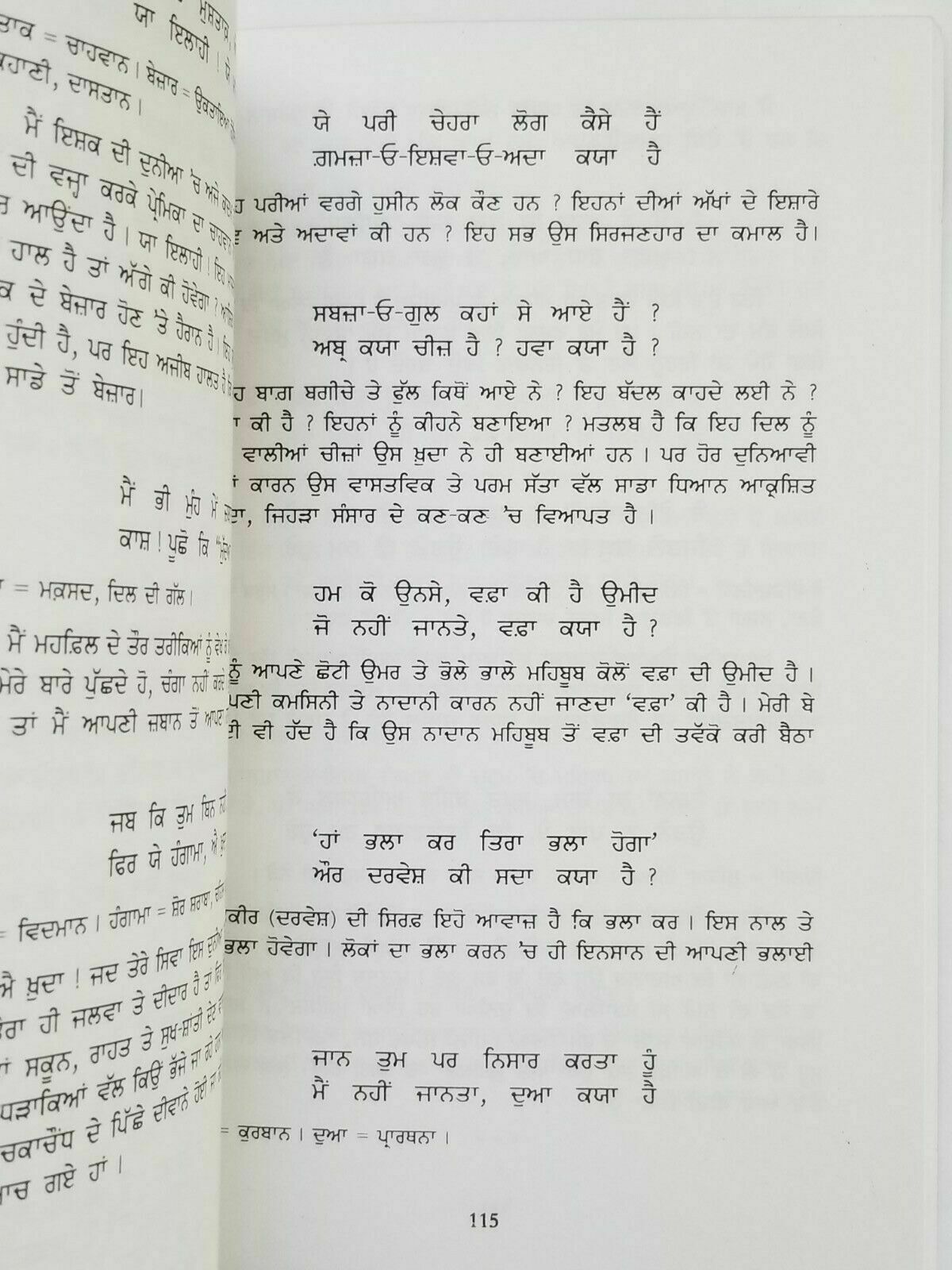 Mirza Galib Life Poetry and his Journey in Calcutta Punjabi Book T N Raaj MK