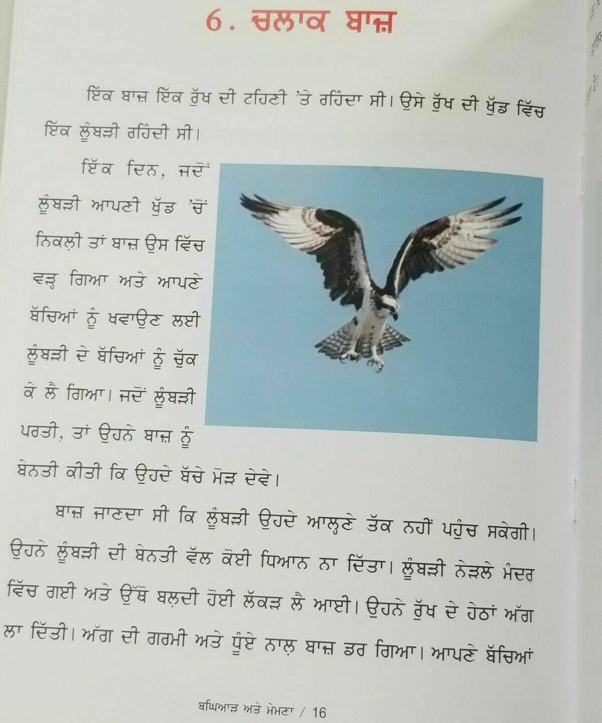 Punjabi Reading Kids Story Moral Book The Wolf and Lamb ਬਘਿਆੜ ਅਤੇ ਮੇਮਣਾ Stories