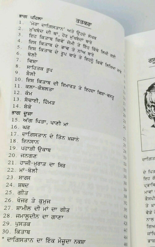 Mera Dagestan Punjabi Gurmukhi Book Rasool Gamzatov My Daghestan Literature B34