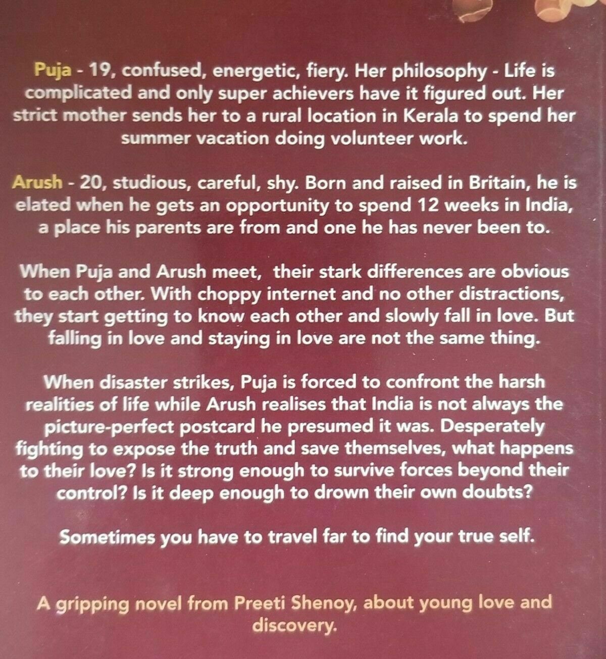 When love came calling preeti shenoy about young love and discovery b59 english