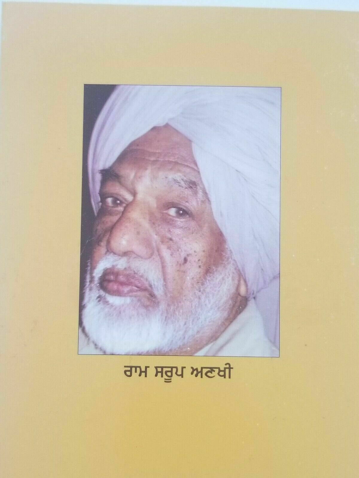 Partapi Novel Ram Saroop Ankhi Punjabi Literature Reading Book Gurmukhi Panjabi B8