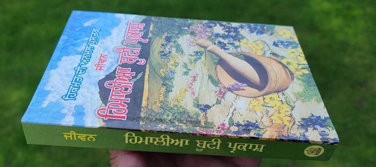 Himalaya Booti Parkash Punjabi Ayurvedic Book Hikmat Herbal Remedies Panjabi MA Home