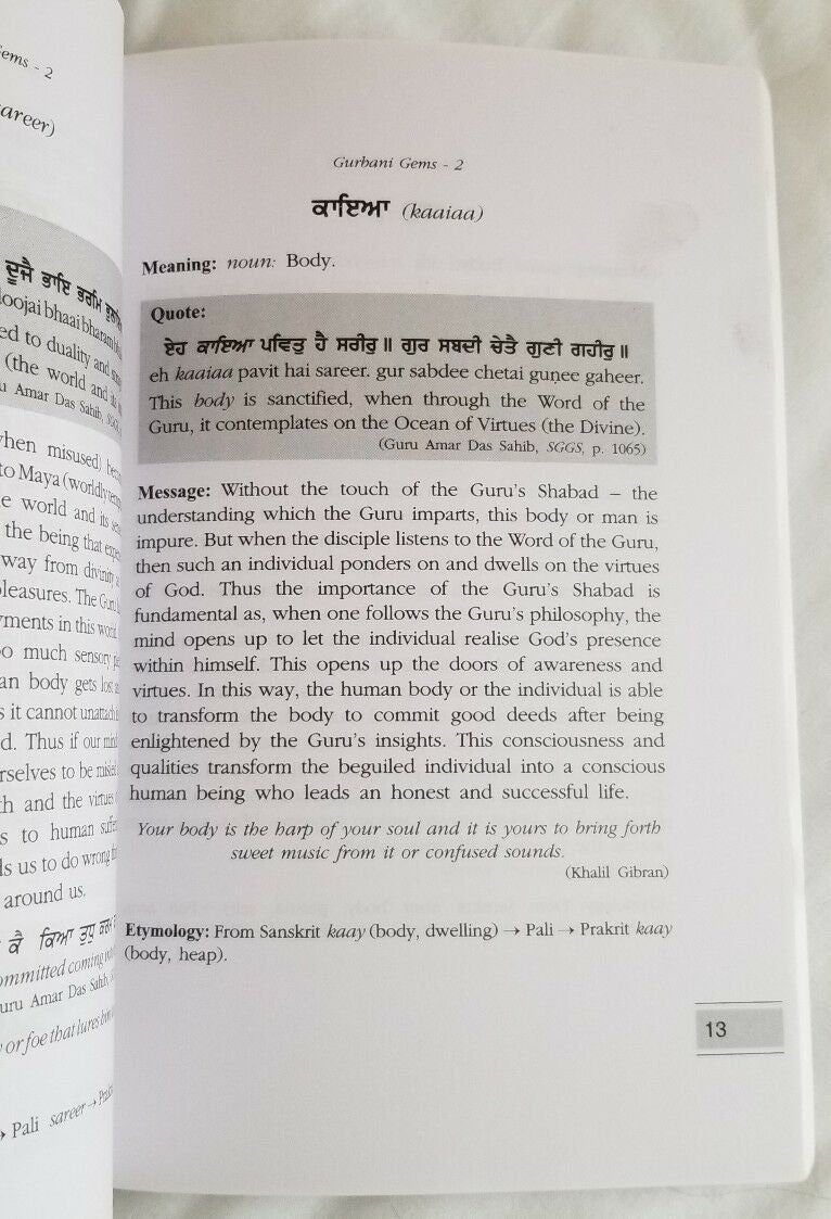 Sikh Gurbani Gems Book Vol 2 English Punjabi A Word A Thought Read Reflect Share A21