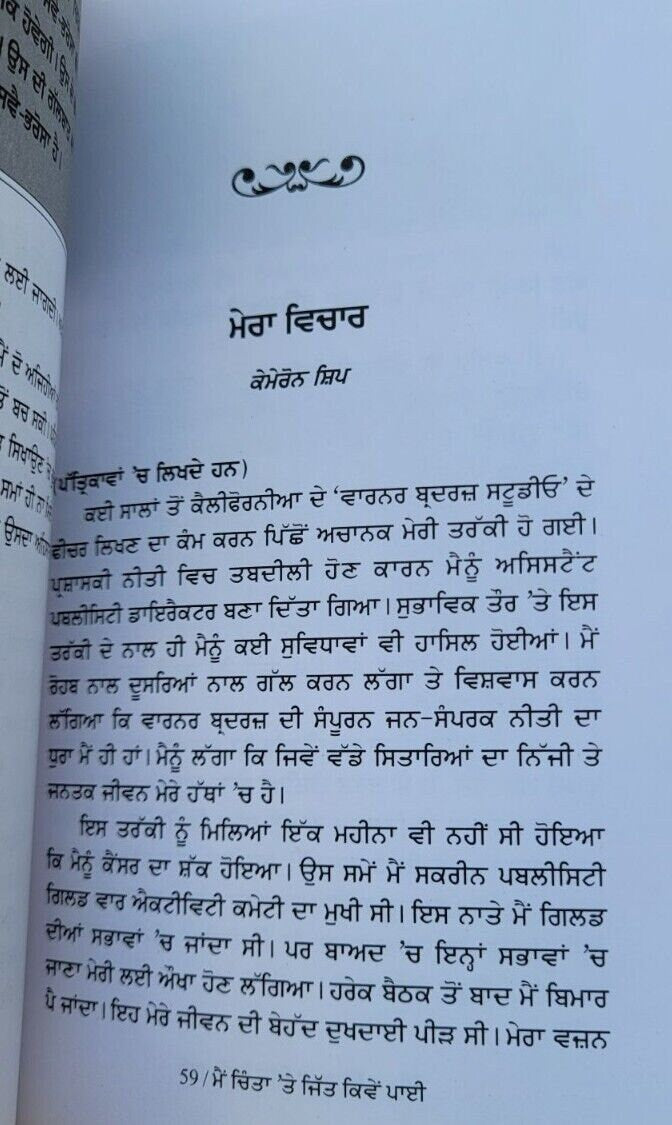 Mein chinta te jitt kiven paaey dale carnegie self improvement book punjabi b65