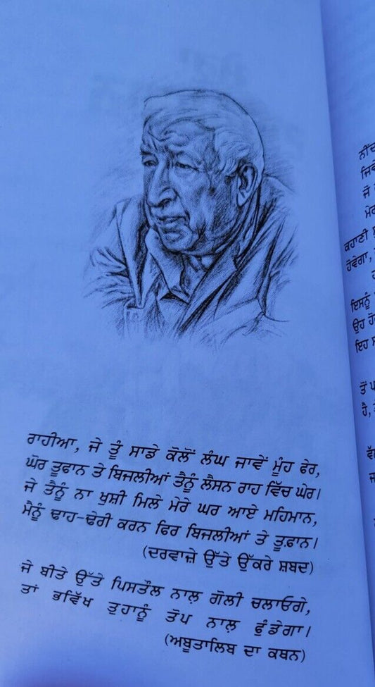 Mera Dagestan Punjabi Gurmukhi Book Rasool Gamzatov My Dagestan Literature MD