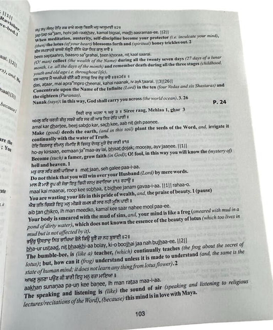 Sri Guru Granth Sahib Ji English Translation Seven Volumes Sanchia Complete Set