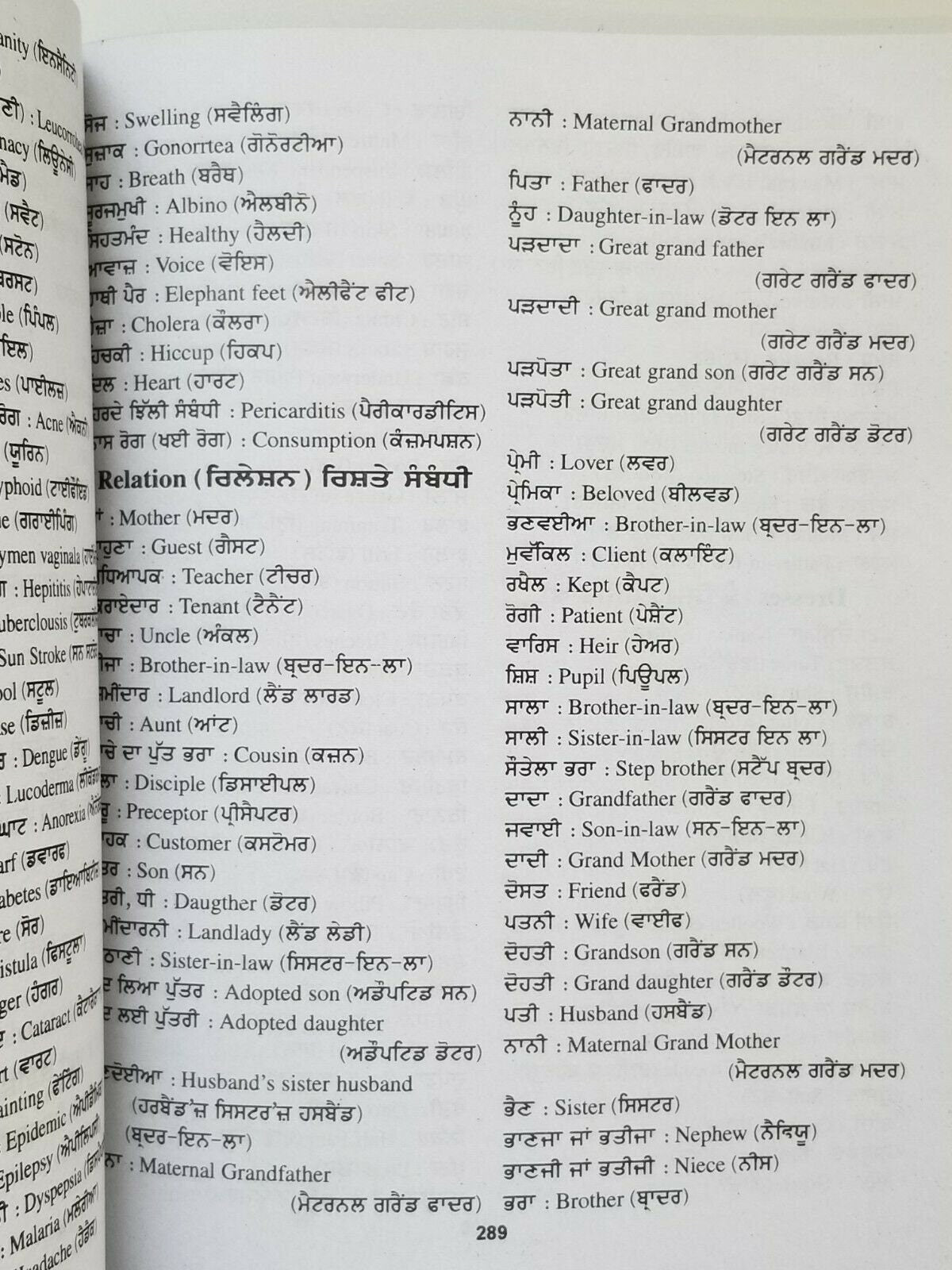 English Speaking Learning Course Perfect Easy Learning Punjabi to English in 60 days B65