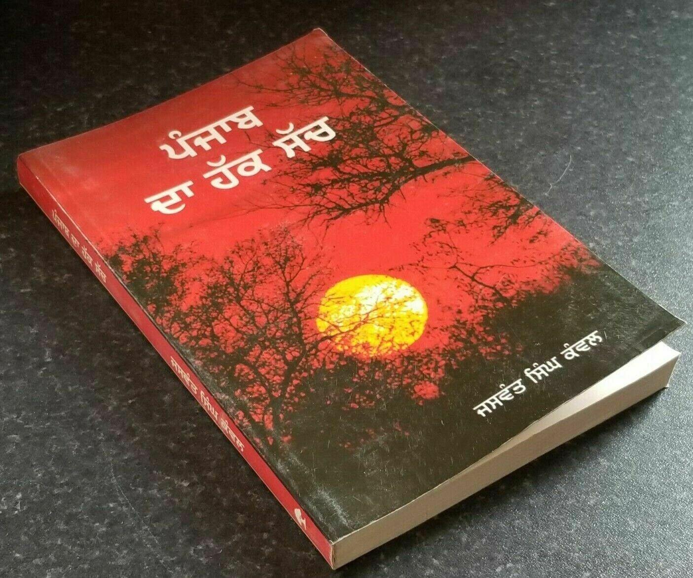 Punjab Da Hak Sach Jaswant Singh Kanwal Punjabi Literature Book Panjabi B46 New