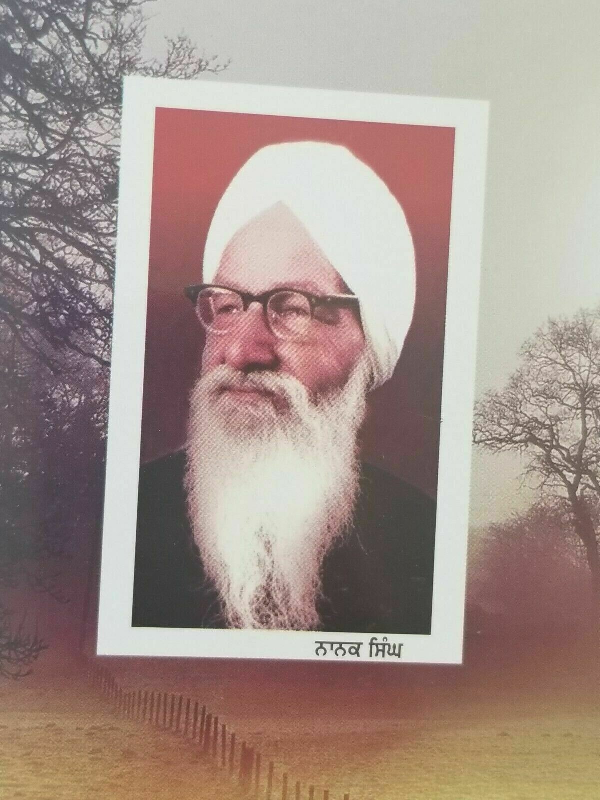 Anseetay zakham novel by nanak singh indian punjabi reading literature book b30