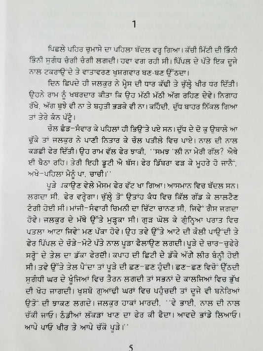 Hameergarh ਹਮੀਰਗੜ੍ਹ Novel Ram Saroop Ankhi Literature Punjabi Reading Book