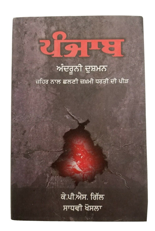 Punjab The Enemies Within ਅੰਦਰੂਨੀ ਦੁਸ਼ਮਨ  K.P.S. Gill Sadhavi Khosla Punjabi Book