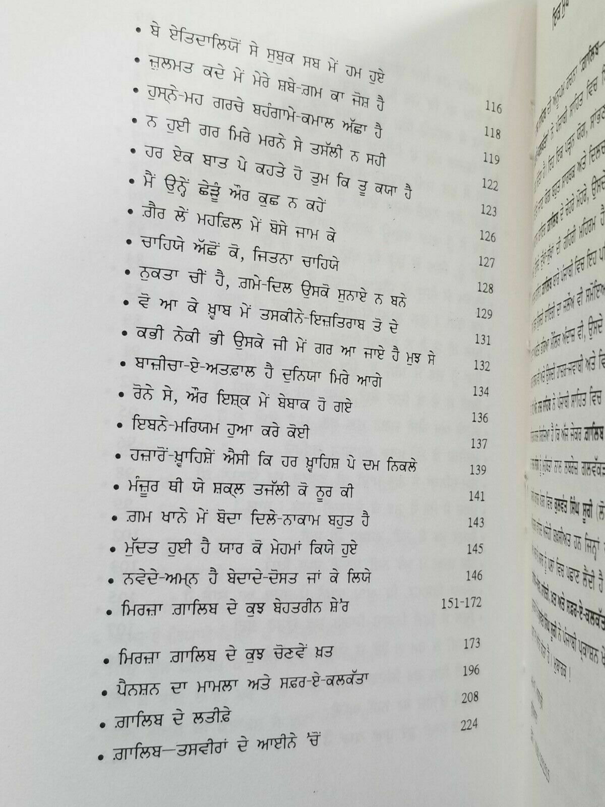 Mirza Galib Life Poetry and his Journey in Calcutta Punjabi Book T N Raaj