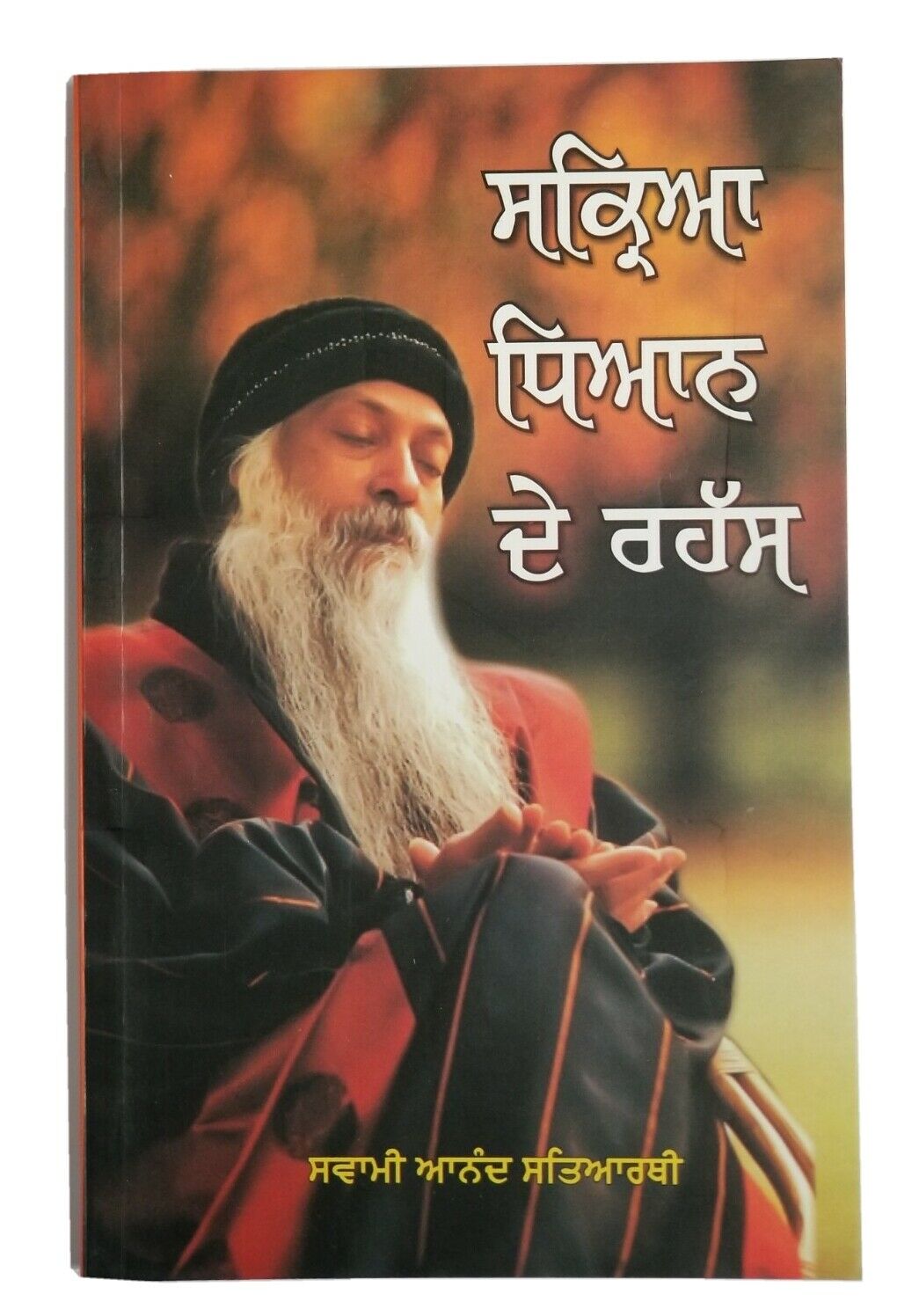 Sakriya Dhyan De Rahas based on OSHO Rajneesh Teachings Punjabi Literature Book B56