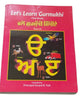 Let's Learn Gurmukhi Writing Punjabi Textbook Sentence Making 4th Book H13 Kaida