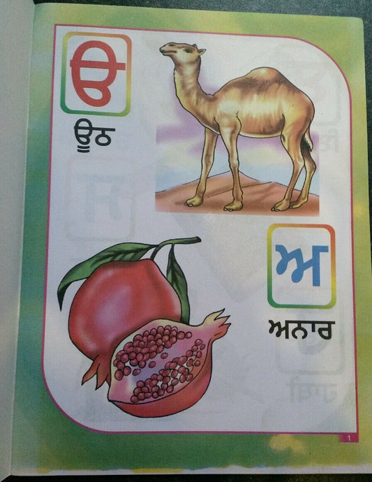 Akhar Gayan Punjabi Kaida Book Learn Gurmukhi Alphabets Writing Know Panjabi New
