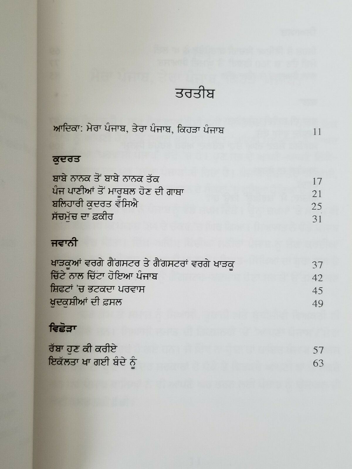Kehra Punjab ਕਿਹੜਾ ਪੰਜਾਬ Yadwinder Karfew Indian Punjabi Reading Literature Book