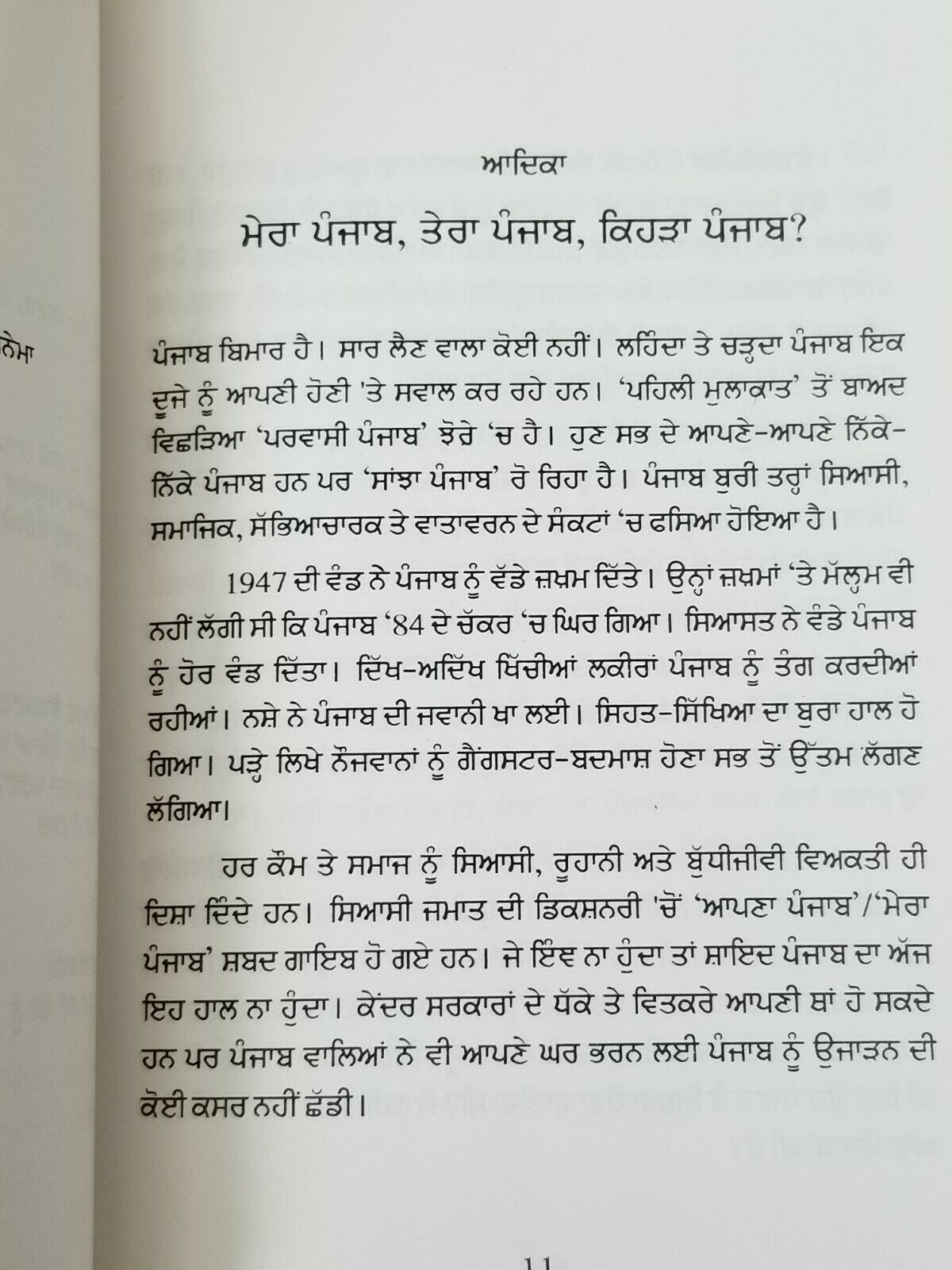 Kehra Punjab ਕਿਹੜਾ ਪੰਜਾਬ Yadwinder Karfew Indian Punjabi Reading Literature Book