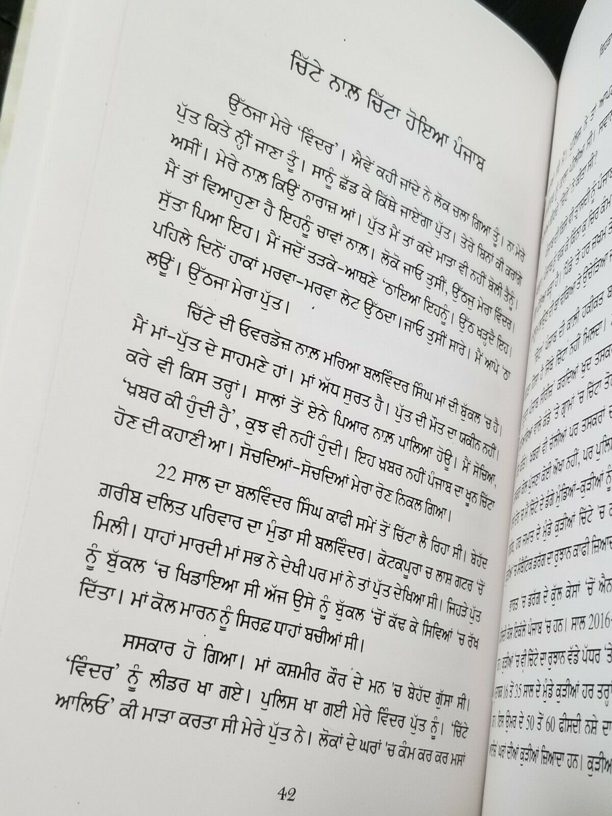 Kehra Punjab ਕਿਹੜਾ ਪੰਜਾਬ Yadwinder Karfew Indian Punjabi Reading Literature Book