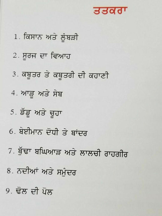 Punjabi Reading Kids Story Moral Book The Sun's Wedding Suraj da Viyah Kahani B1