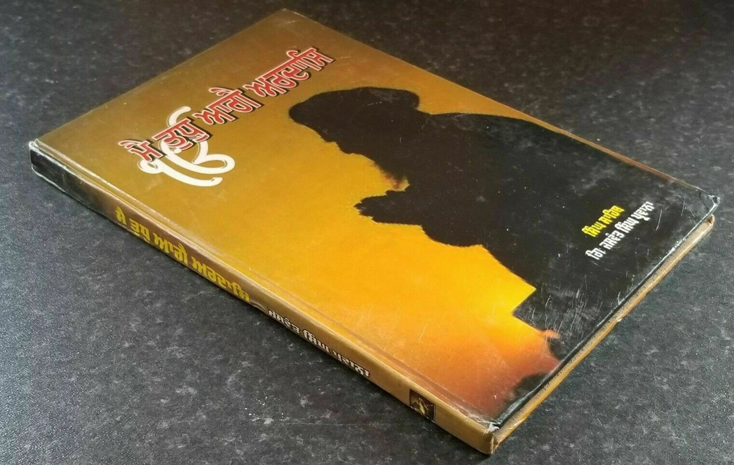 Mein tudh aagay ardaas singh sahib giani jaswant singh parwana punjabi book b70
