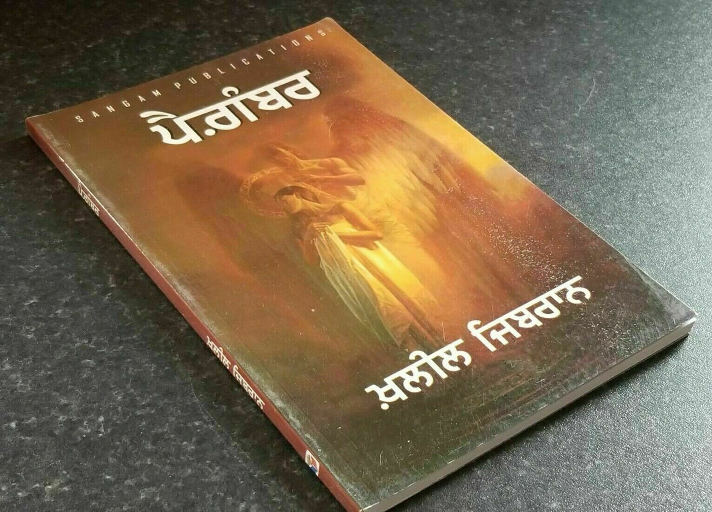 Pagaimbar The Prophet Punjabi Book Kahlil Gibran Gurmukhi Panjabi Prose B54 New