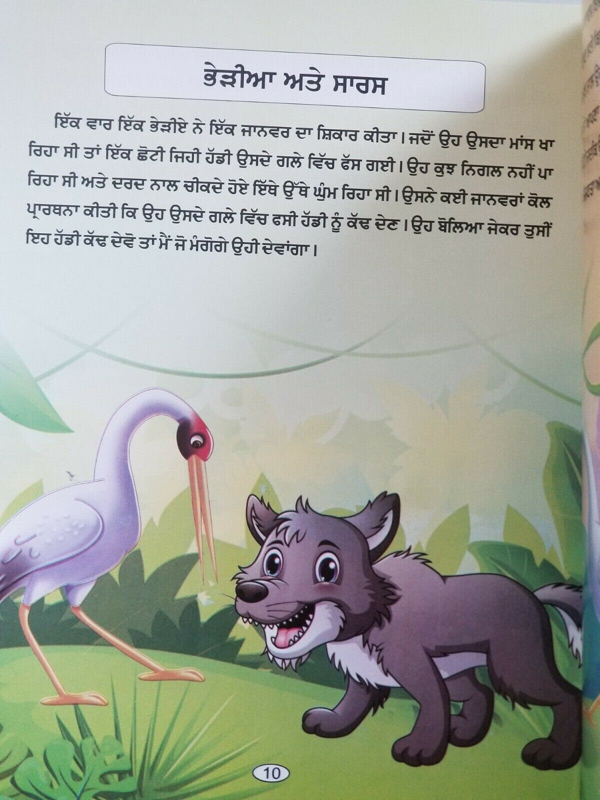 Punjabi reading kids knowledge stories book the bald and honeybee learning book