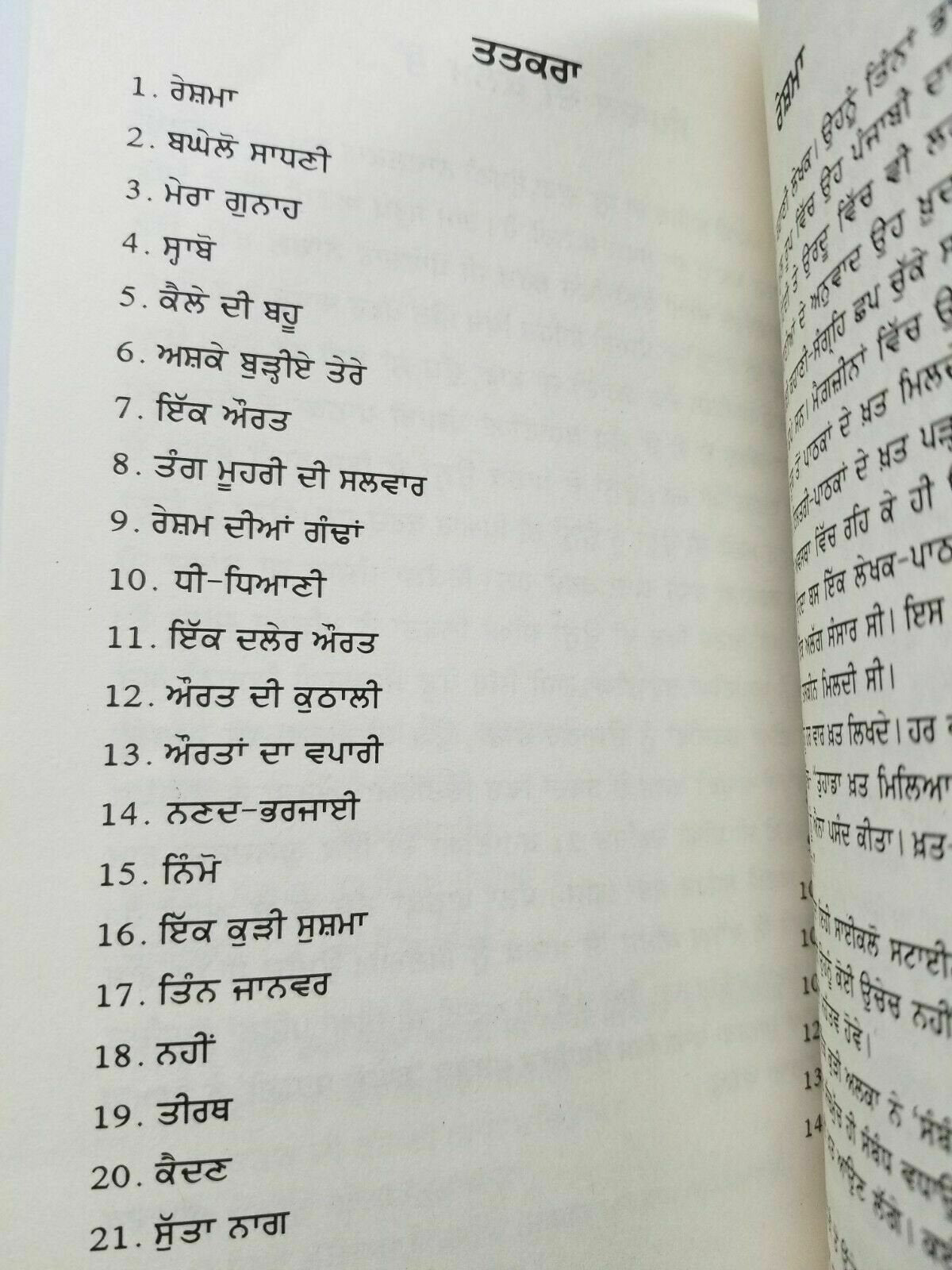 Baghelo sadhani new story book ram saroop ankhi literature punjabi reading B8