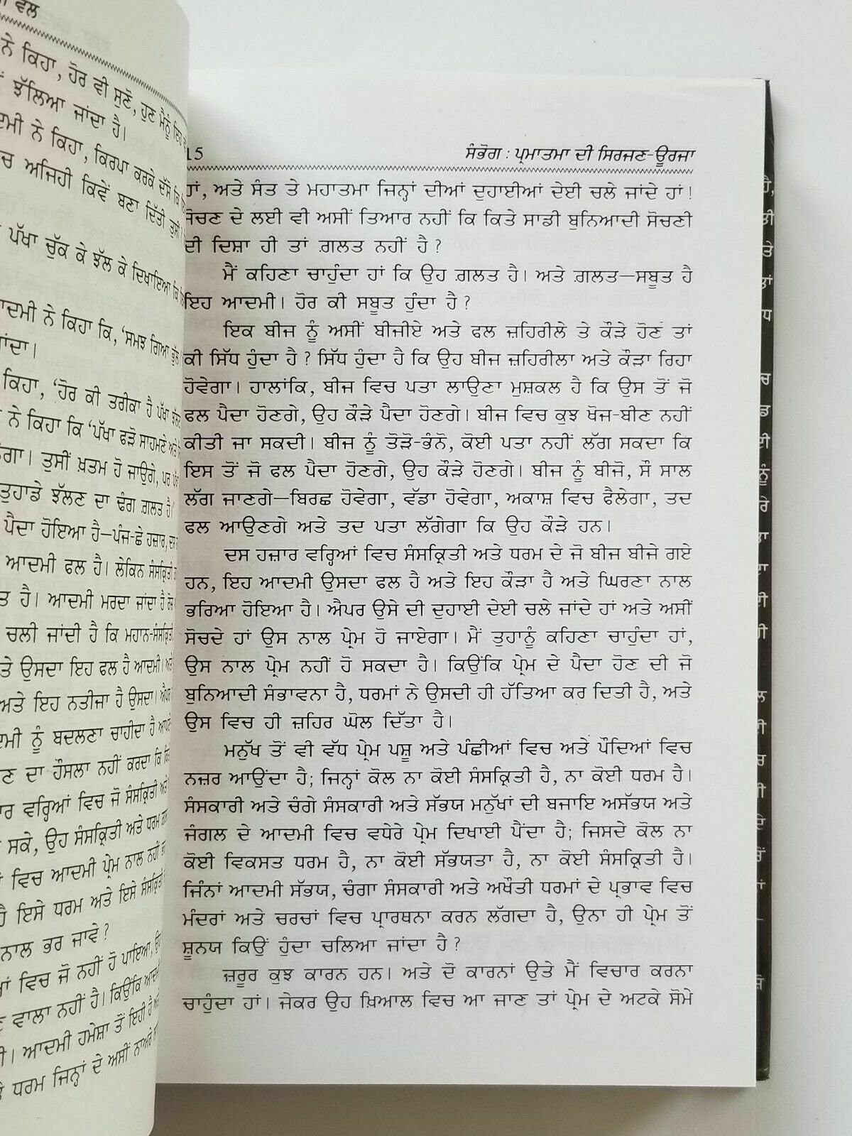 Sambhog to Samadhi Wal Osho Rajneesh Punjabi Gurmukhi Reading Literature Book Hardback
