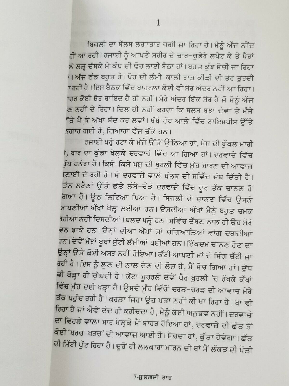 Sulagdi raat novel by ram saroop ankhi panjabi literature punjabi reading book