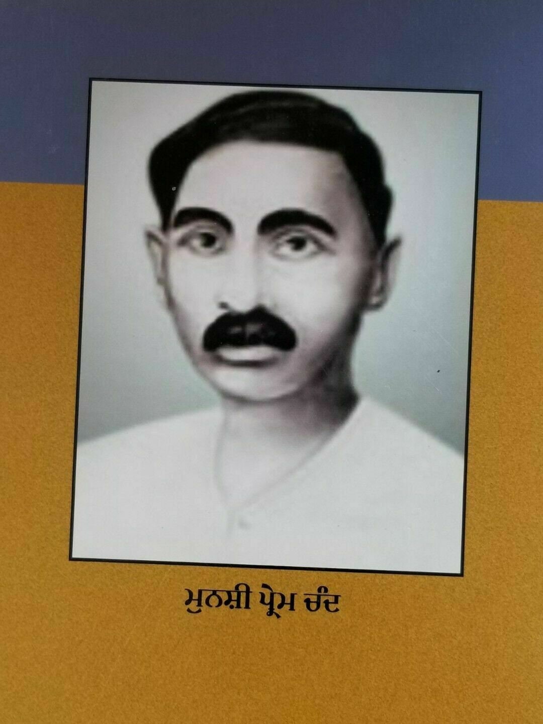 Karambhumi Novel Munshi Prem Chand Punjabi Book Gurmukhi Translation Panjabi B71