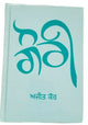 Gauri punjabi fiction novel ajeet cour ajit kaur panjabi gurmukhi book b6 new