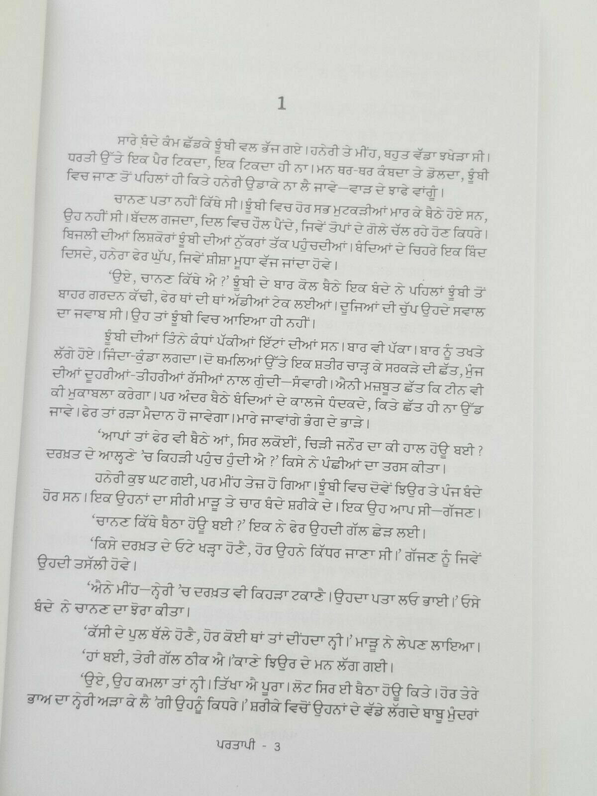 Partapi novel by ram saroop ankhi panjabi literature punjabi reading book b8 new