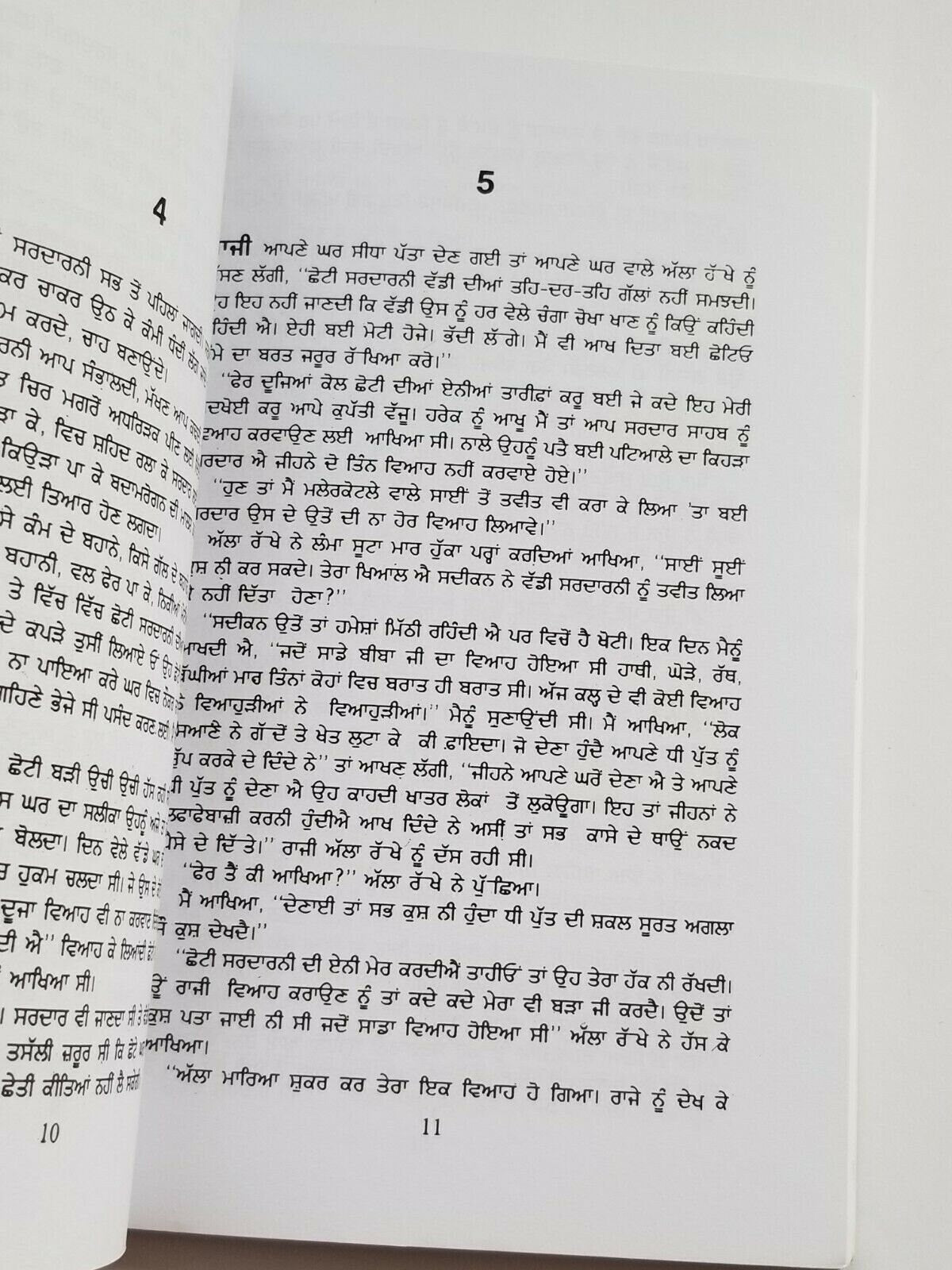 Langh gaye dariya punjabi fiction novel by dalip kaur tiwana panjabi book b5 new