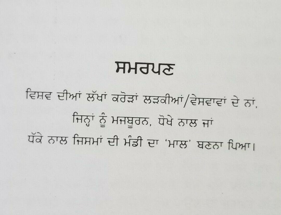 Lal Batti Red Light Punjabi Novel Literature Panjabi Book Baldev Singh B20 New