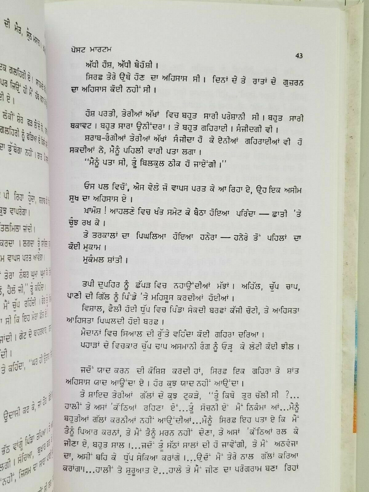 Postmortem punjabi novel by ajeet cour kaur panjabi gurmukhi book ajit b5 new