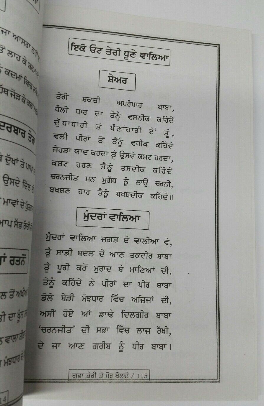 Gufa teri te mor bolday jeevan katha baba balak nath book gurmukhi punjabi md