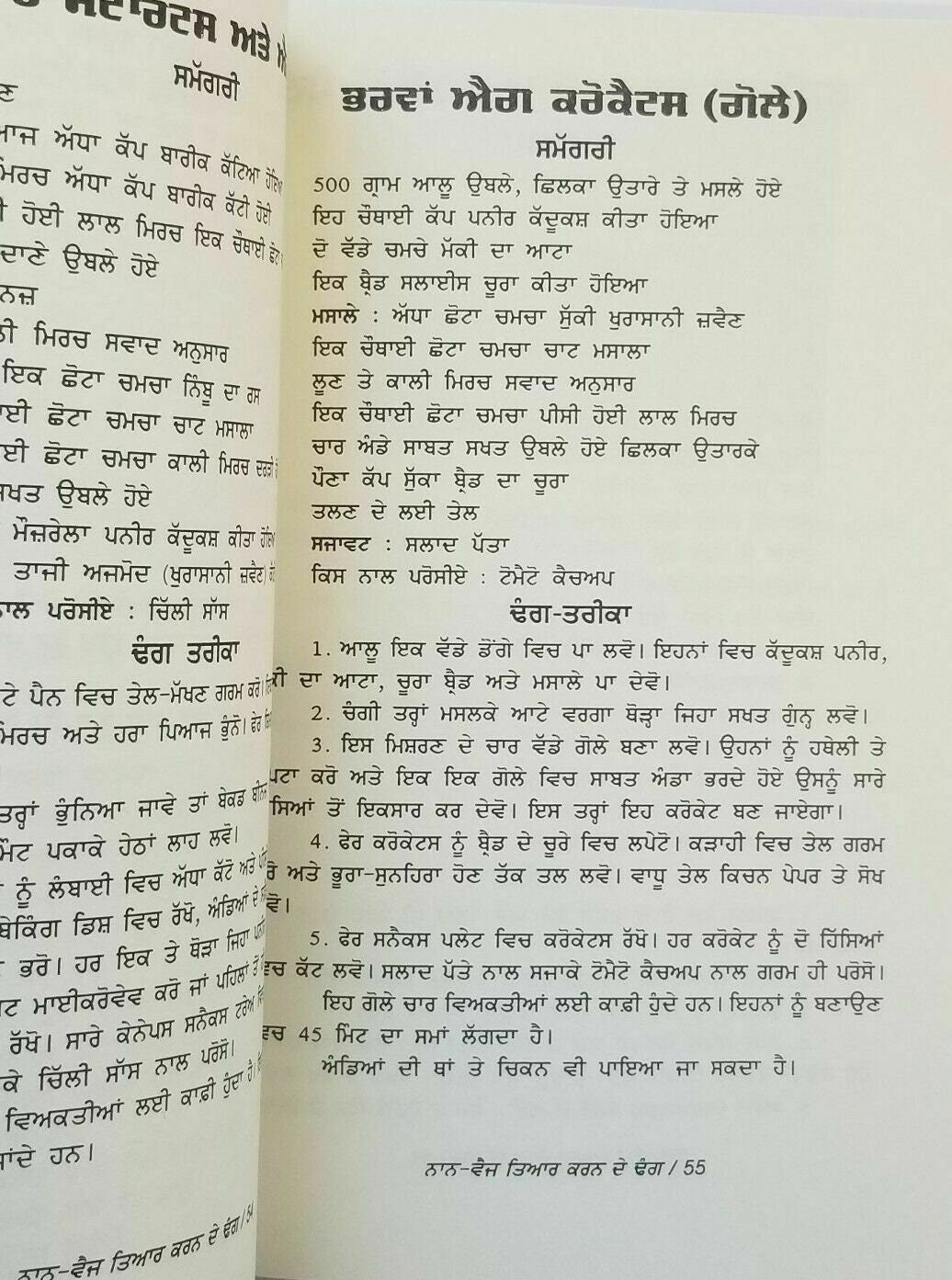 Non veg cooking punjabi book simple detailed instructions - cook over 100 dishes