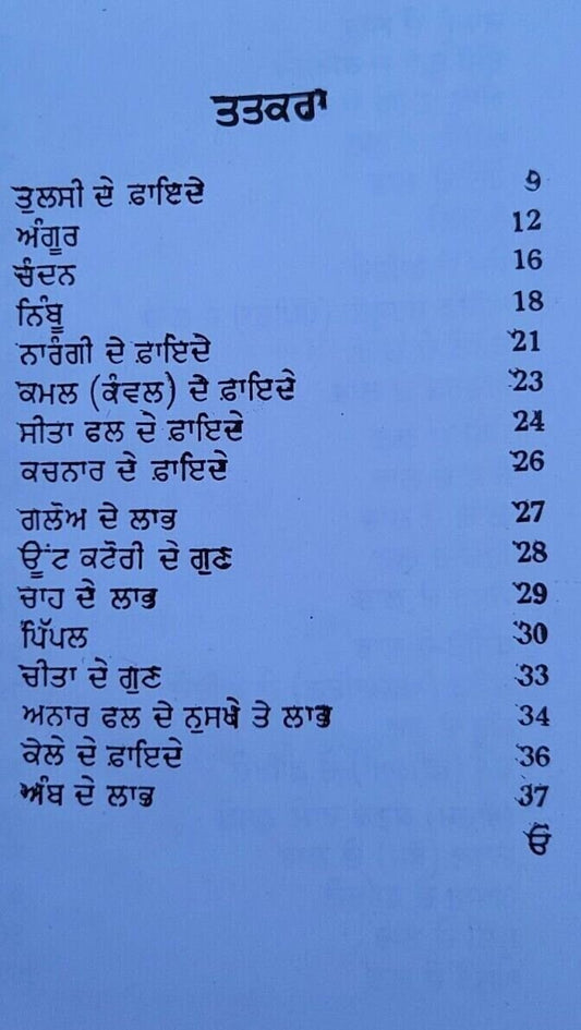 Himalaya Booti Parkash Punjabi Ayurvedic Book Hikmat Herbal Remedies Panjabi MA Home
