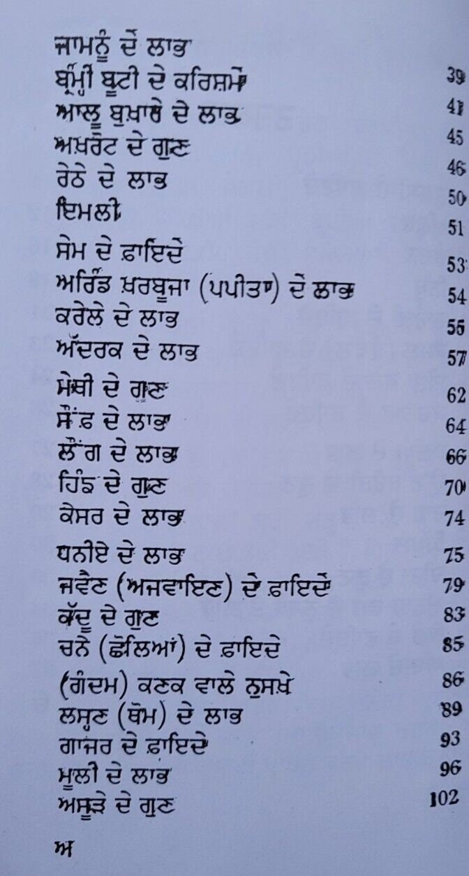 Himalaya Booti Parkash Punjabi Ayurvedic Book Hikmat Herbal Remedies Panjabi MA Home