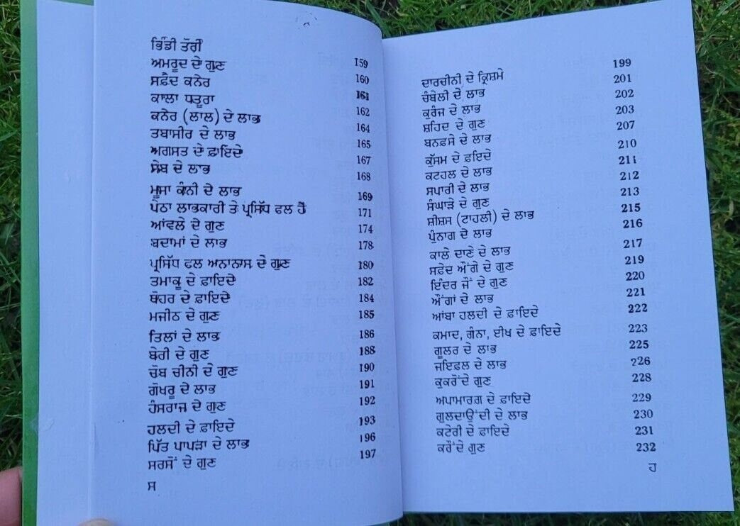 Himalaya Booti Parkash Punjabi Ayurvedic Book Hikmat Herbal Remedies Panjabi MA Home