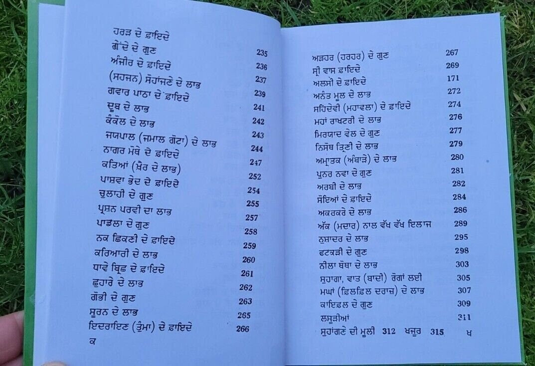 Himalaya Booti Parkash Punjabi Ayurvedic Book Hikmat Herbal Remedies Panjabi MA Home