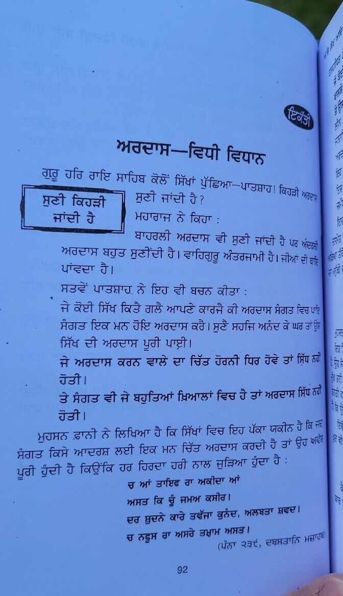 Aadh Sikh Te Aadh Sakhia Principal Satbir Singh Punjabi Book Panjabi Story B17
