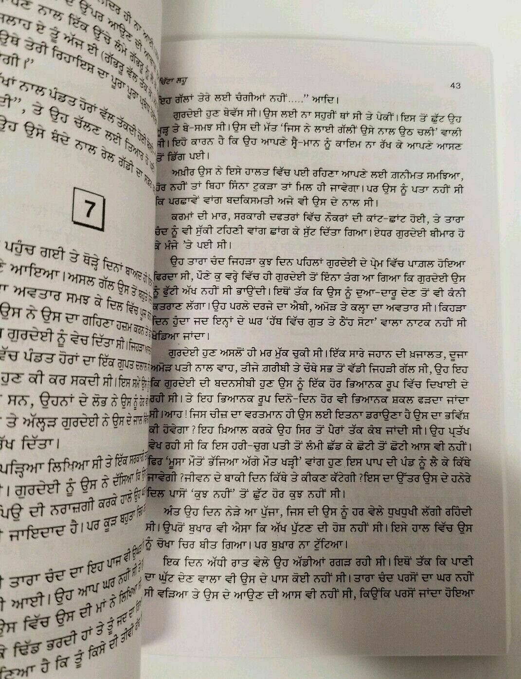 Chitta Lahoo Novel Nanak Singh Punjabi Book Reading Literature Panjabi Romance MD