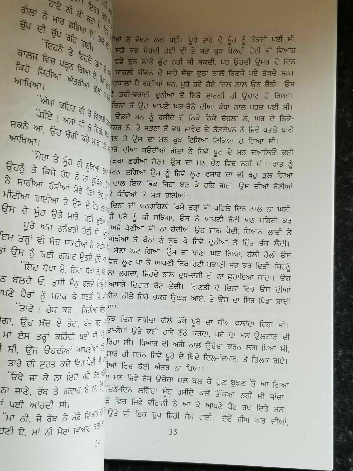 Pinjar Novel Amrita Pritam Punjabi Famous Fiction Panjabi Book Paperback B65 New