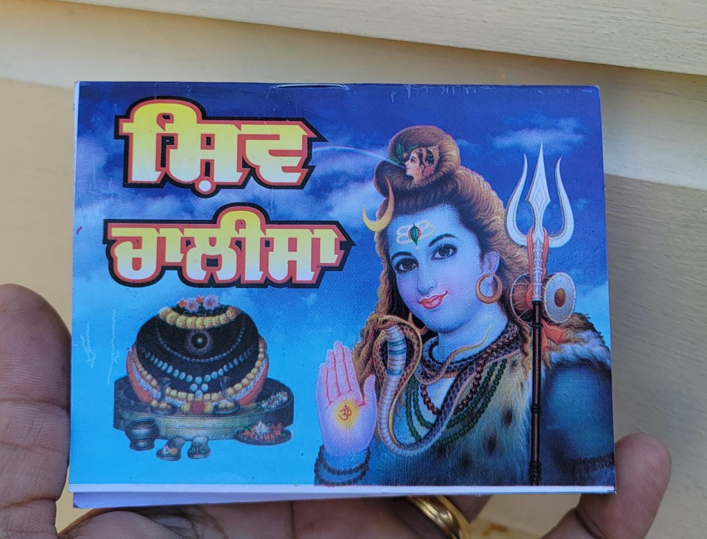 Hindu Shiv Chalisa Evil Eye Protection Shield Good Luck Pocket Book Punjabi HH