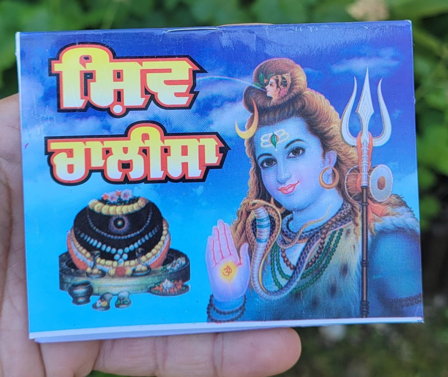 Hindu Shiv Chalisa Evil Eye Protection Shield Good Luck Pocket Book Punjabi HH