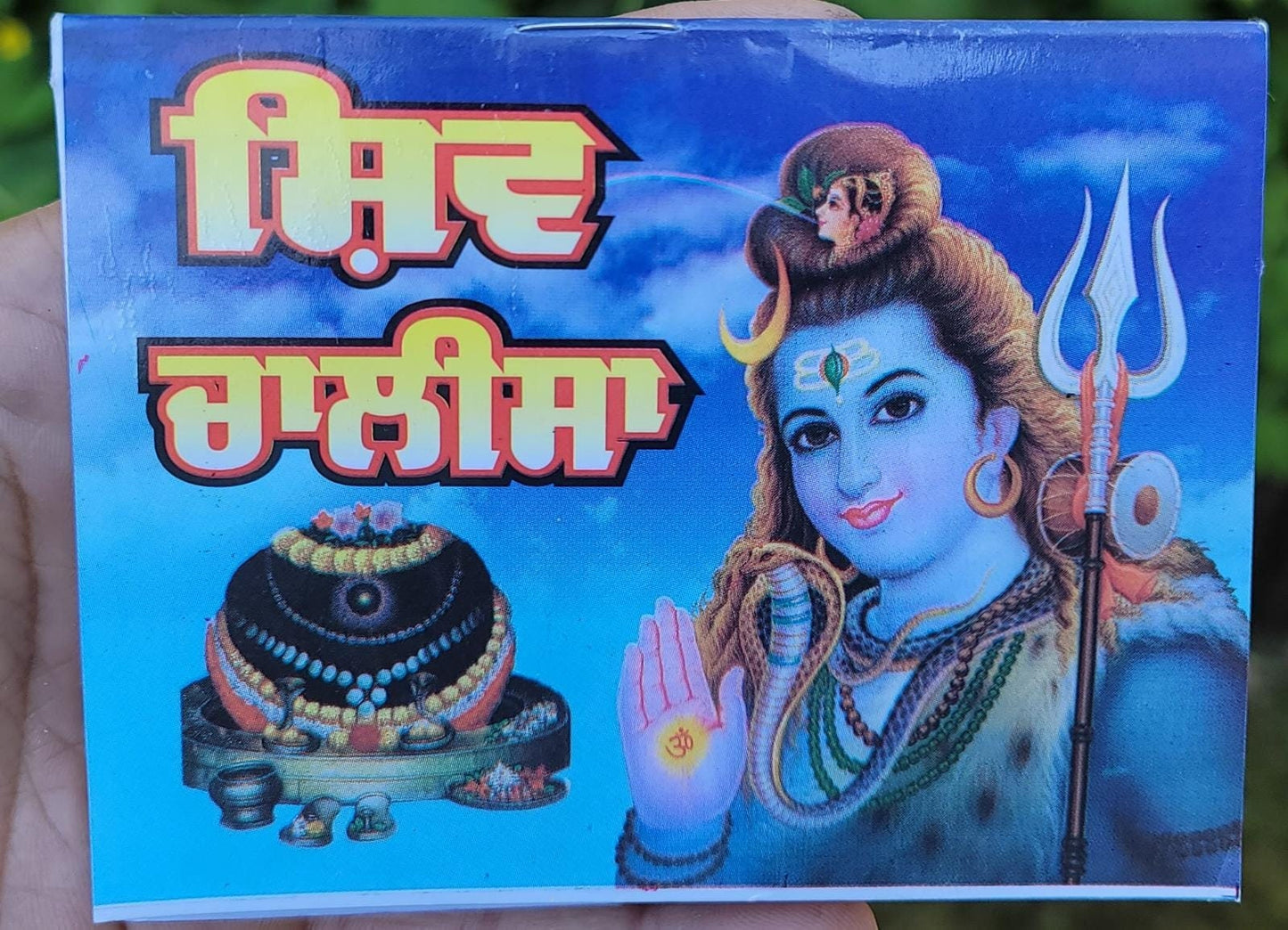 Hindu Shiv Chalisa Evil Eye Protection Shield Good Luck Pocket Book Punjabi HH