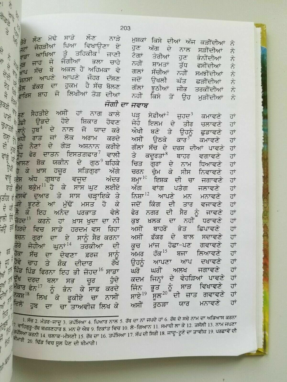 Heer Waris Shah Complete Punjabi Kissa Story Gurmukhi Literature Reading Book B21MD Panjabi