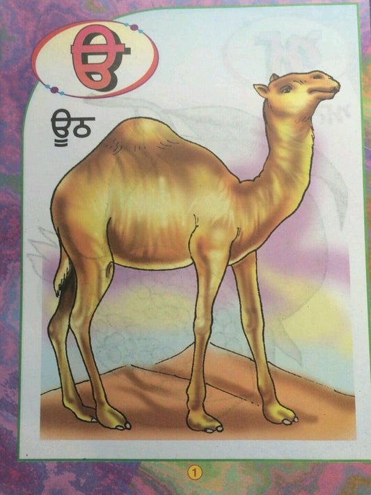 Learn punjabi gurmukhi writing akhar giyan punjabi alphabets words 1st book ii